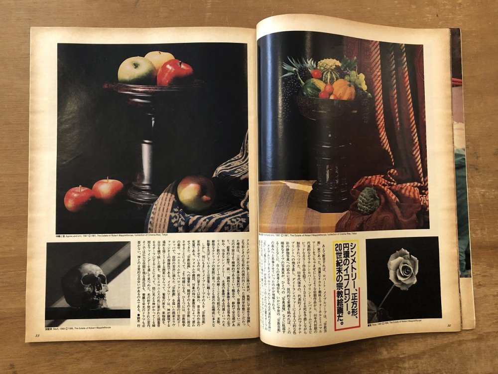 BRUTUS 1991/8/15 No.255 AIDSが連れ去った芸術家たち - books used