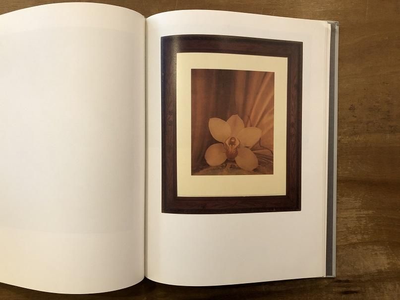 [希少] Yoshihiko Ueda 【at 】上田義彦（リトルモア） A DREAM | portfolio - YOSHIHIKO UEDA | 上田義彦