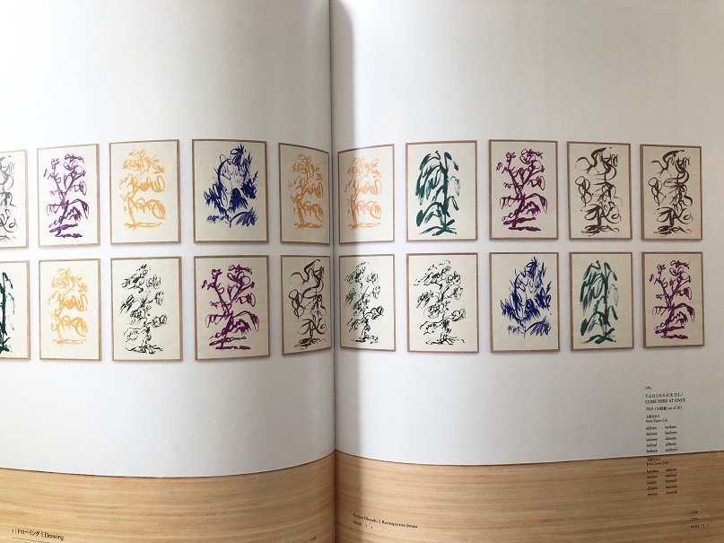 岡﨑乾二郎 視覚のカイソウ（特典付） - books used and new, flower works : blackbird books  ブラックバードブックス