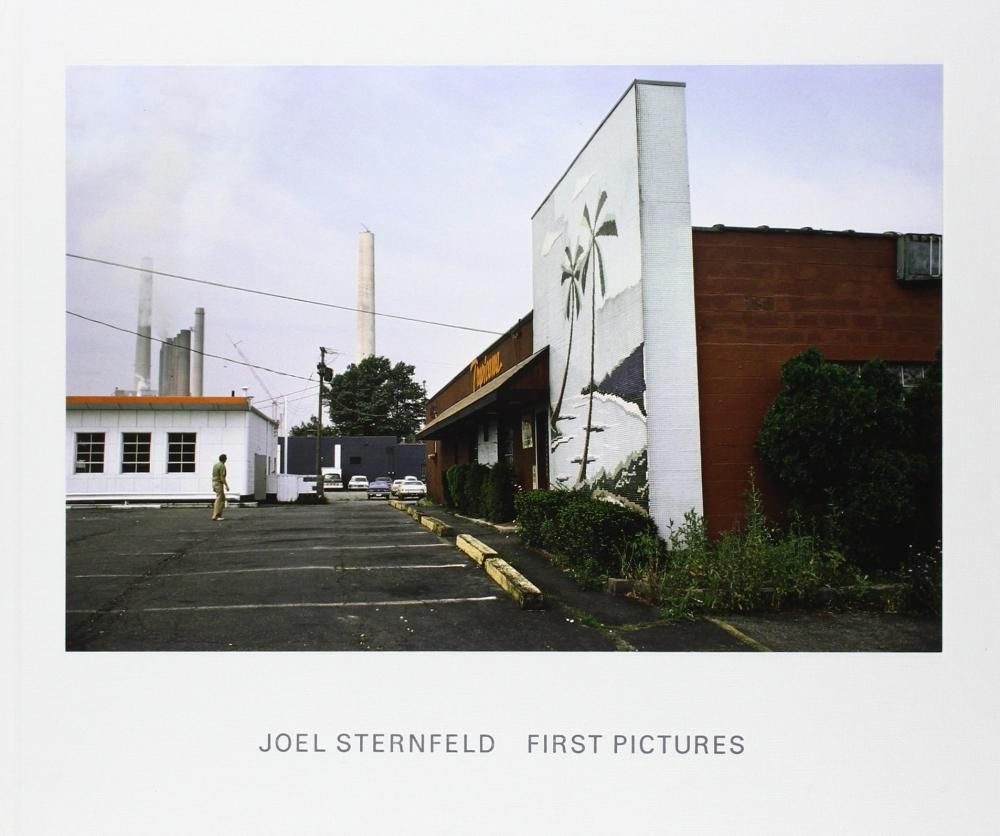 FIRST PICTURES / JOEL STERNFELD ジョエル・スターンフェルド - books