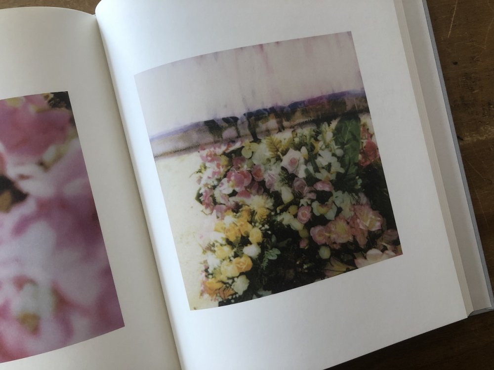 Cy Twombly Photographs Lyrical Variations サイ・トゥオンブリーの