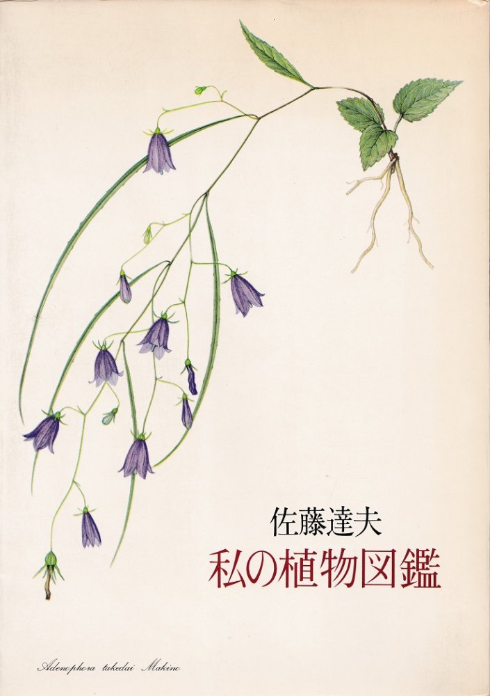 佐藤達夫 私の植物図鑑 Books Used And New Flower Works Blackbird Books ブラックバードブックス