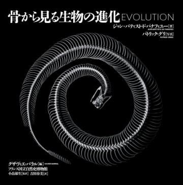 骨から見る生物の進化 EVOLUTION