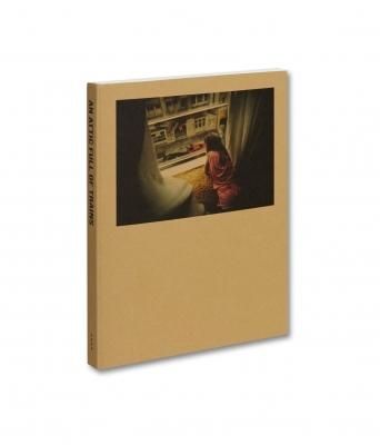 An Attic Full of Trains / Alberto di Lenardo