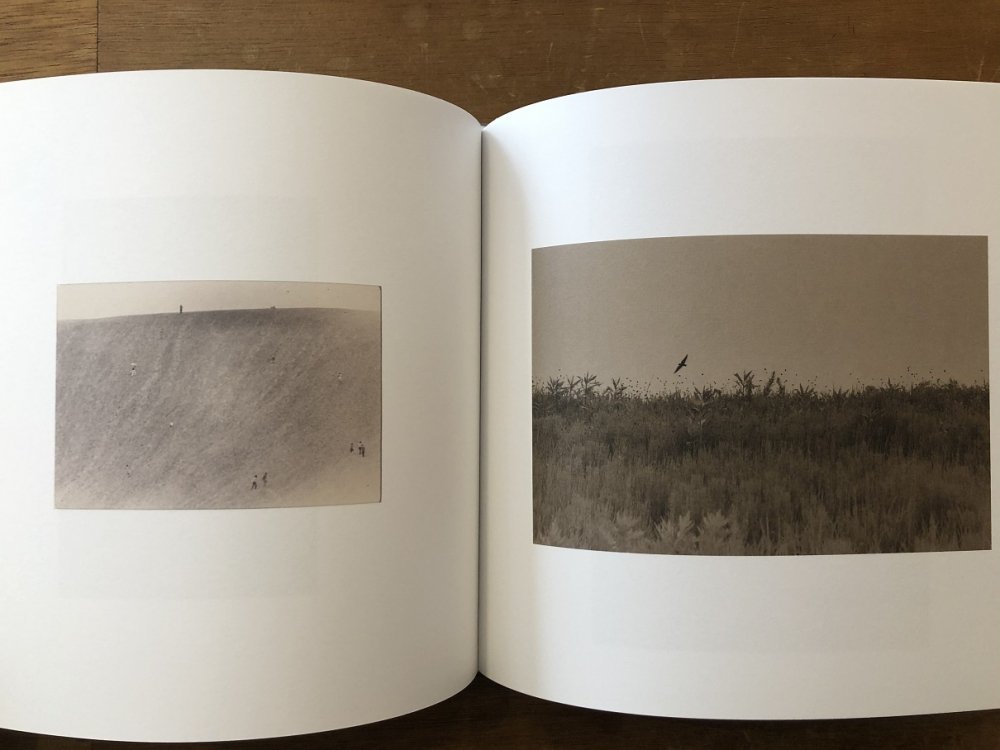 漣 SASANAMI / 山本昌男 Masao Yamamoto - books used and new, flower works :  blackbird books ブラックバードブックス