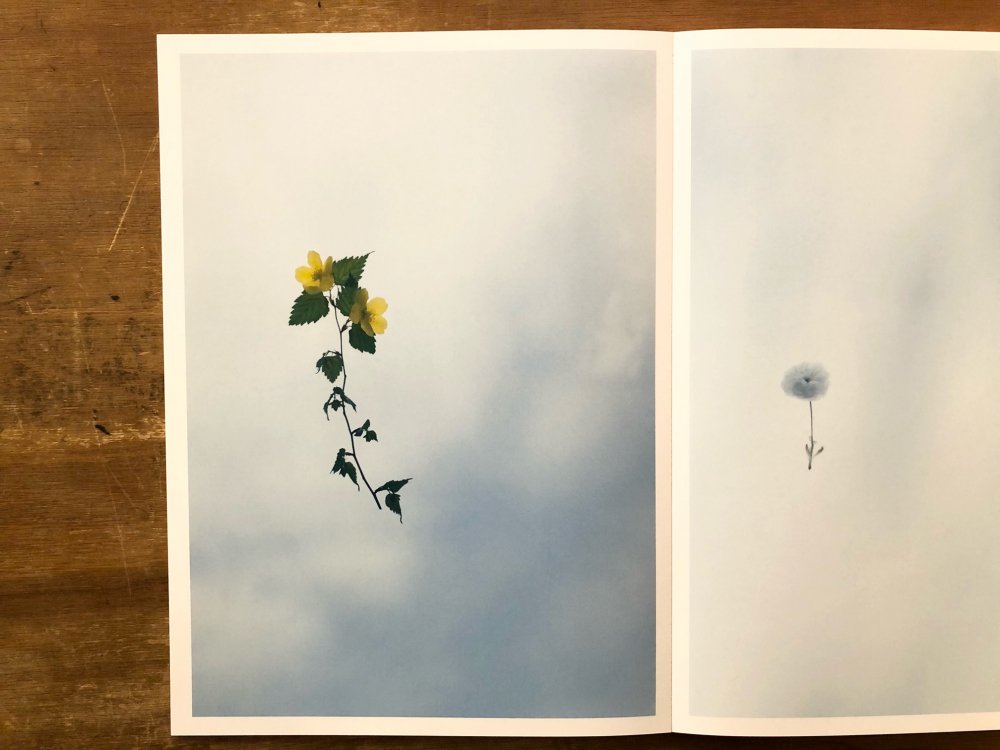 FLOWER / 野口恵太 Keita Noguchi - books used and new, flower works 