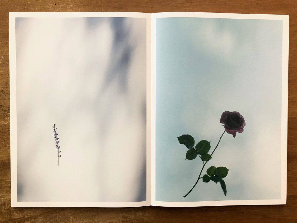 FLOWER / 野口恵太 Keita Noguchi - books used and new, flower works