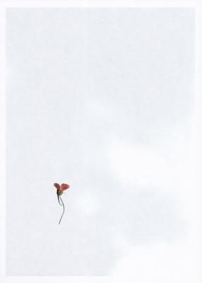 FLOWER /  Keita Noguchi