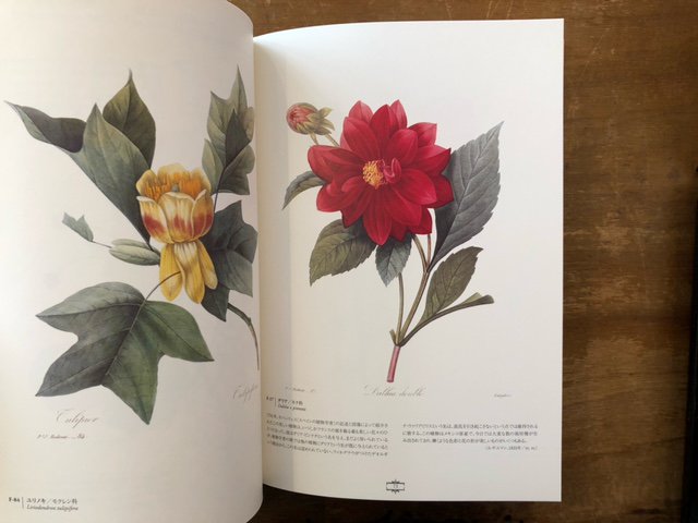 花の画家 ルドゥーテ『美花選』展 - books used and new, flower works 