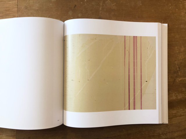 SATURATED LIGHT / Wolfgang Tillmans   books used and new, flower