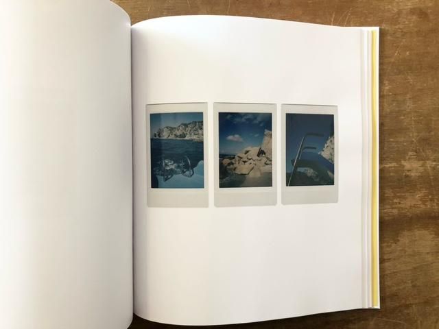 POLAROIDS / Romain Laprade - books used and new, flower