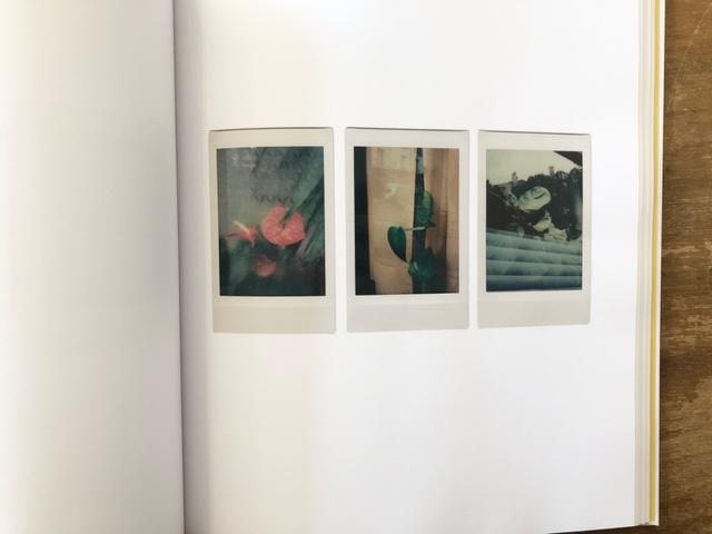 写真集 POLAROIDS by Romain Laprade POLAROIDS by Romain Laprade – twelvebooks