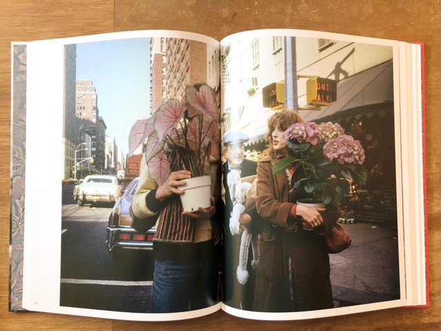 Wild Flowers / Joel Meyerowitz - books used and new, flower works