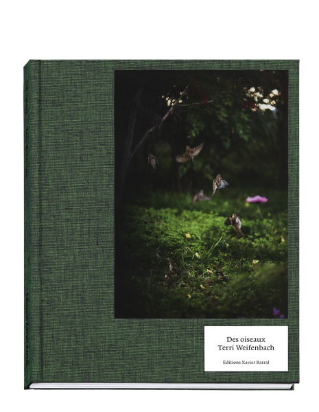 Des oiseaux / Terri Weifenbach テリ・ワイフェンバック - books used and new, flower  works : blackbird books ブラックバードブックス