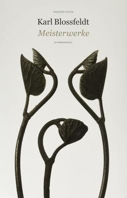 Meisterwerke / Karl Blossfeldt 롦֥ե