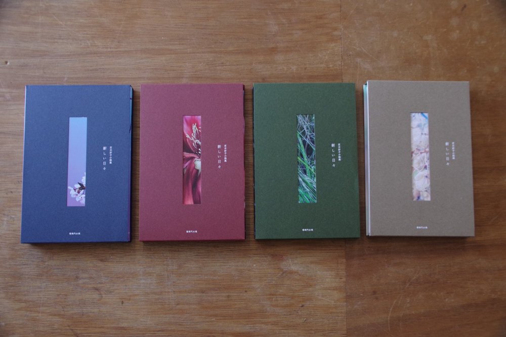 芝木好子小説集　新しい日々 - books used and new, flower works : blackbird books  ブラックバードブックス