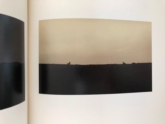 山本昌男 小さきもの、沈黙の中で Small Things in Silence 新装版] 小さきもの、沈黙の中で｜青幻舎 SEIGENSHA Art