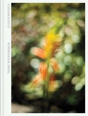  CLOUD PHYSICS / Terri Weifenbach ƥꡦ磻եХå