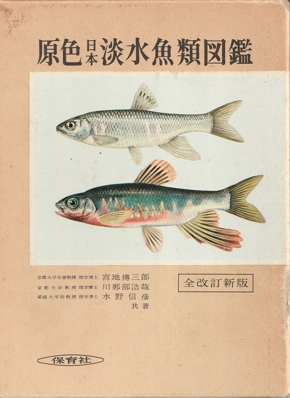 ビッグ割引 原色日本魚類図鑑 参考書 - education.semel.ucla.edu