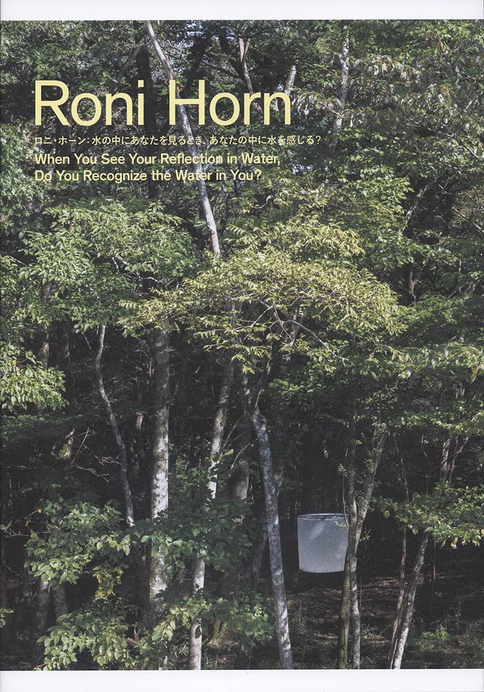 Roni Horn ロニ・ホーン：水の中にあなたを見るとき、あなたの中に水を
