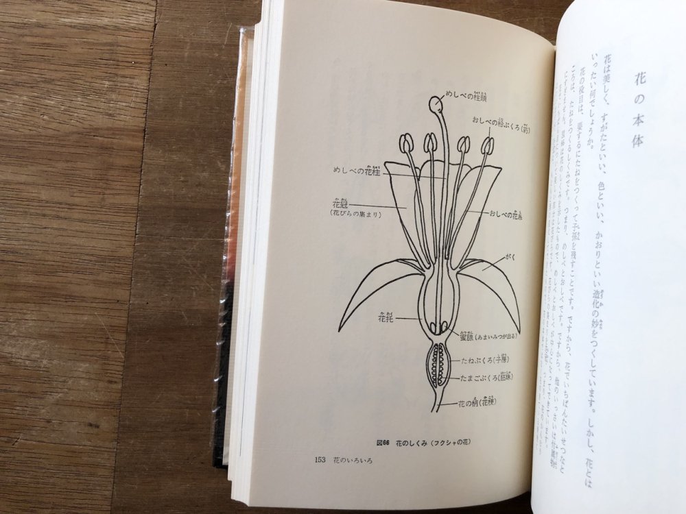 牧野富太郎植物記 全８巻揃 - books used and new, flower works ...