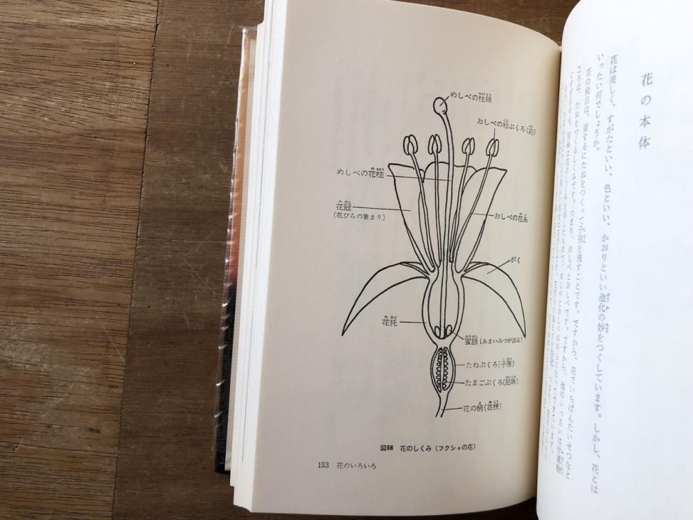 牧野富太郎 植物記 バベル社-