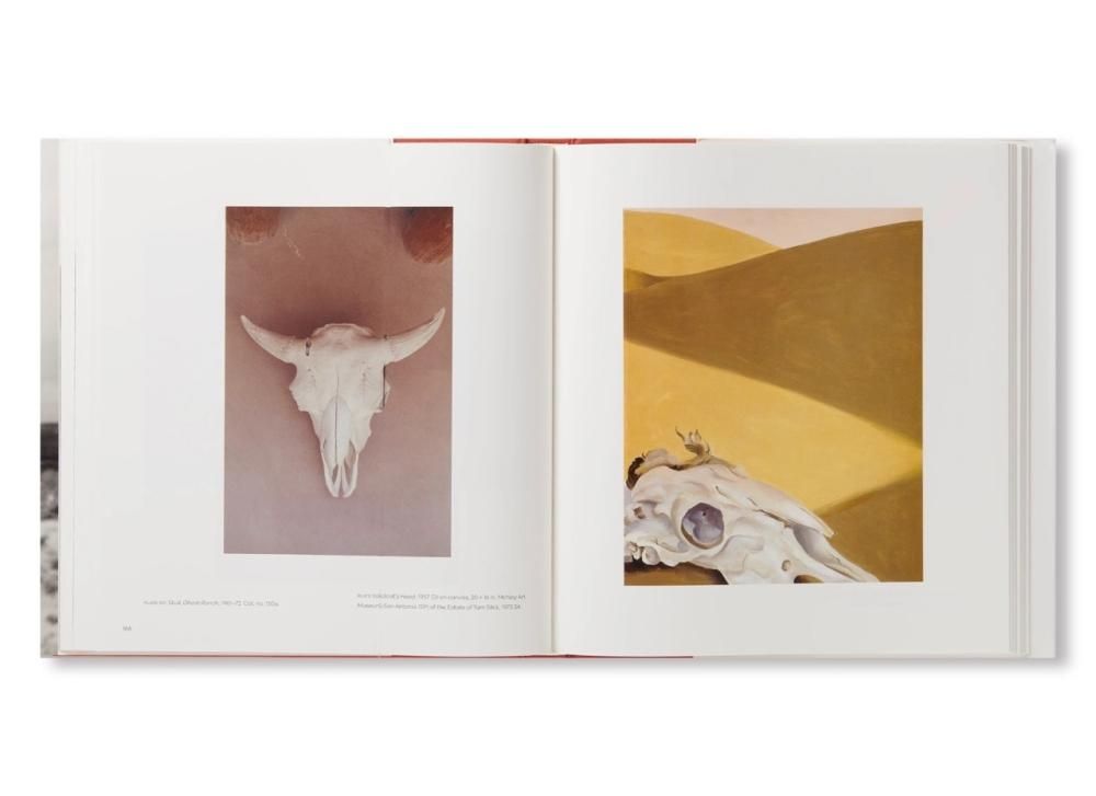 GEORGIA O'KEEFFE, PHOTOGRAPHER ジョージア・オキーフ - books