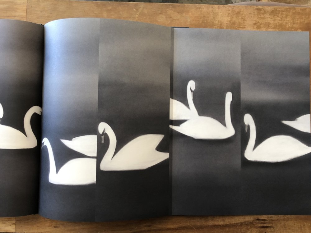 SWAN / Mats Gustafson マッツ・グスタフソン - books used and new, flower works :  blackbird books ブラックバードブックス