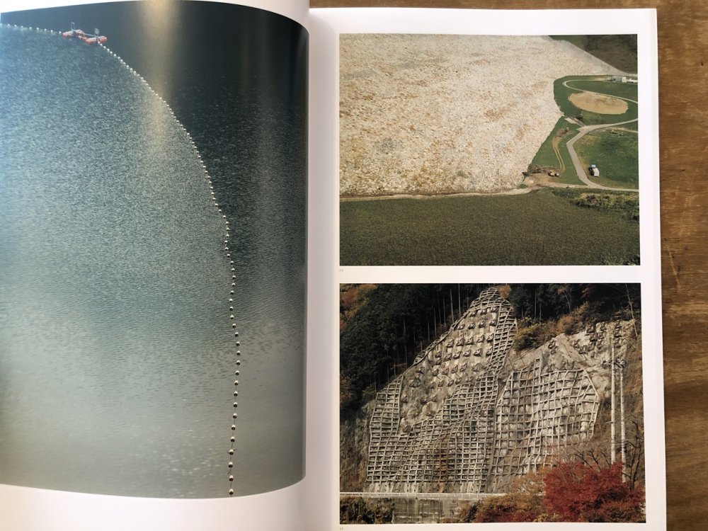 ランドスケープ / 柴田敏雄 TOSHIO SHIBATA - books used and new, flower works :  blackbird books ブラックバードブックス