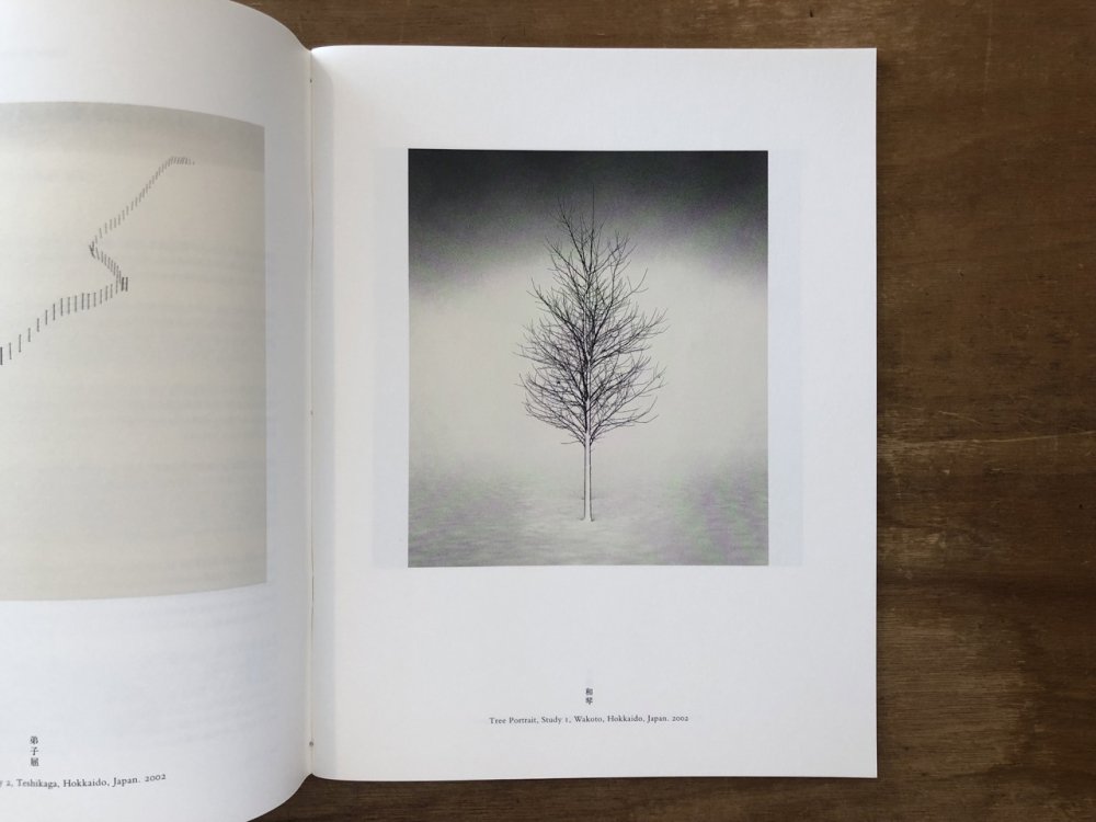 IN HOKKAIDO : Landscapes and Memory / MICHAEL KENNA マイケル・ケンナ - books used  and new, flower works : blackbird books ブラックバードブックス