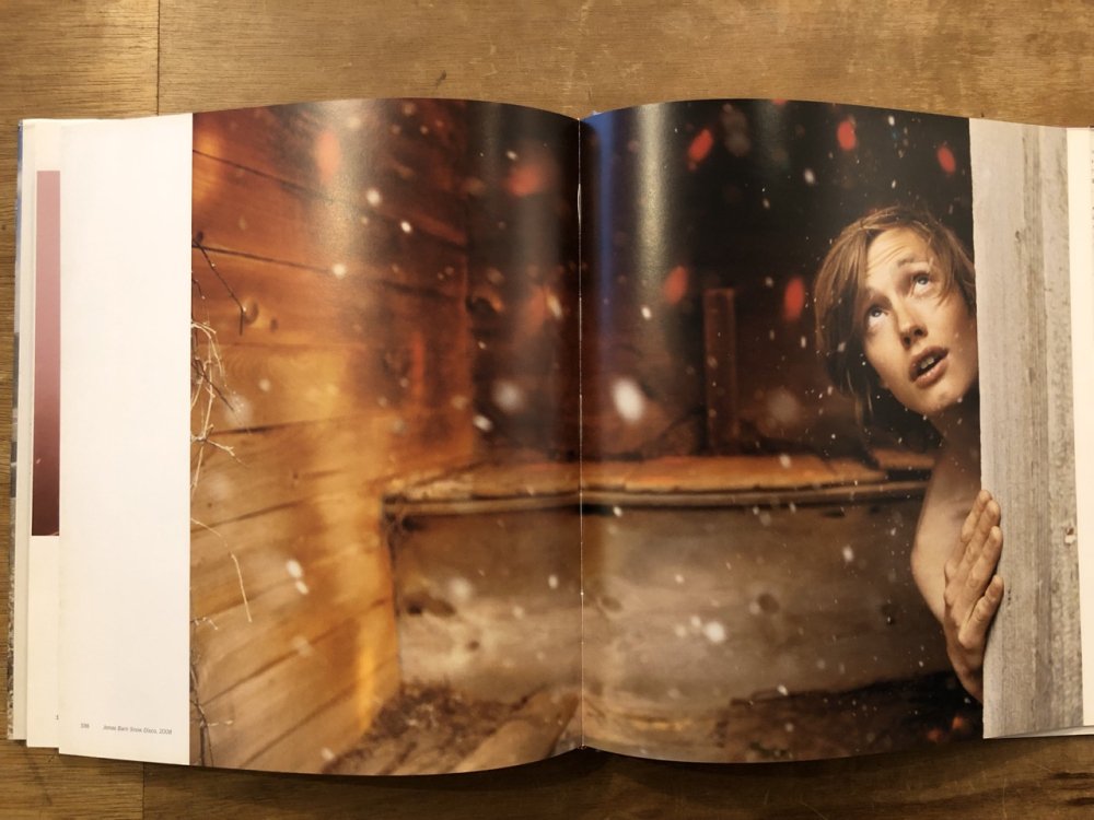 Whistle for the Wind / RYAN MCGINLEY ライアン・マッギンレー - books used and new,  flower works : blackbird books ブラックバードブックス