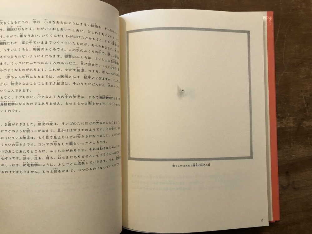 赤ちゃんのはなし - books used and new, flower works : blackbird