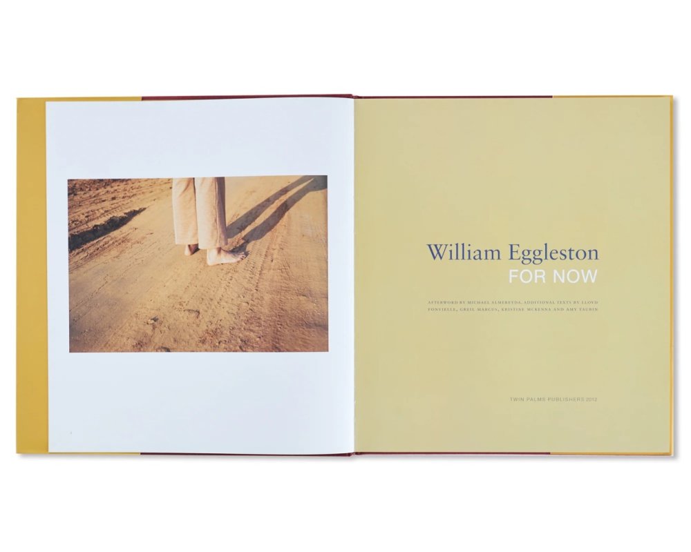 FOR NOW / William Eggleston ウィリアム・エグルストン - books used 