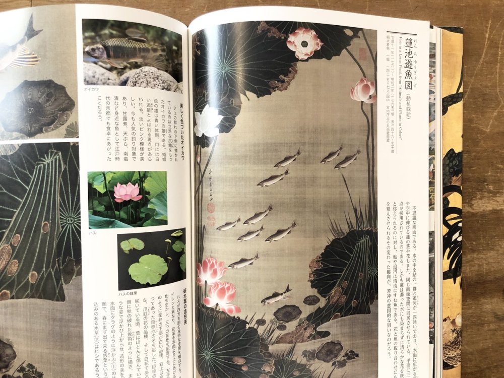 若冲の描いた生き物たち - books used and new, flower works 