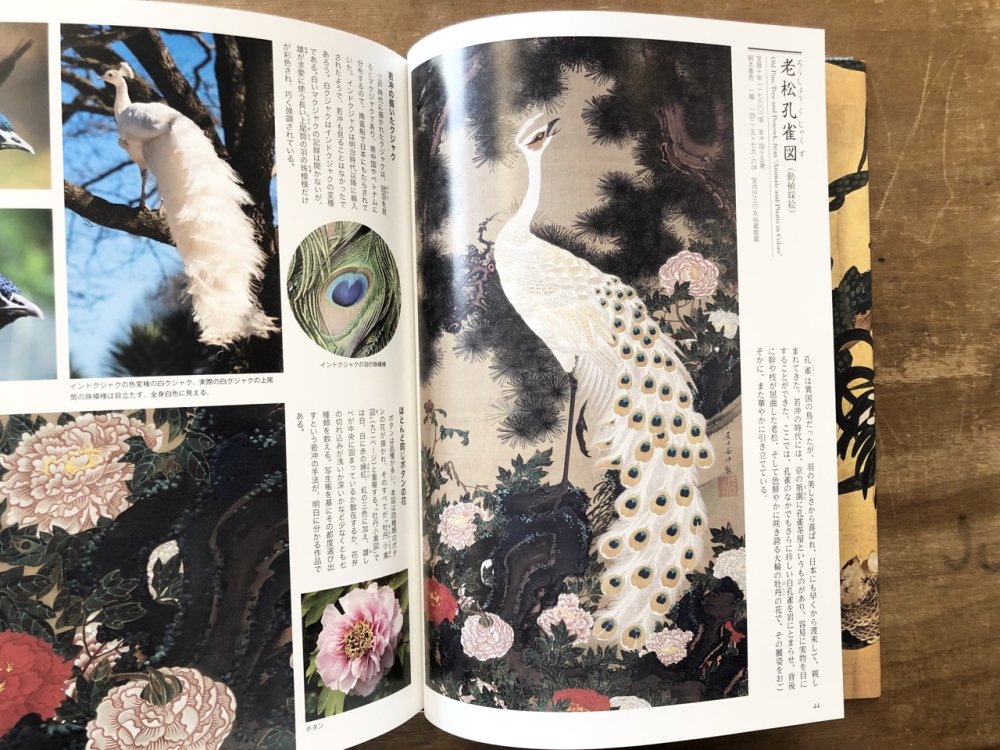 若冲の描いた生き物たち - books used and new, flower works 