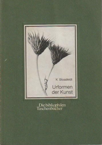 Urformen der Kunst / Karl Blossfeldt カール・ブロスフェルト 