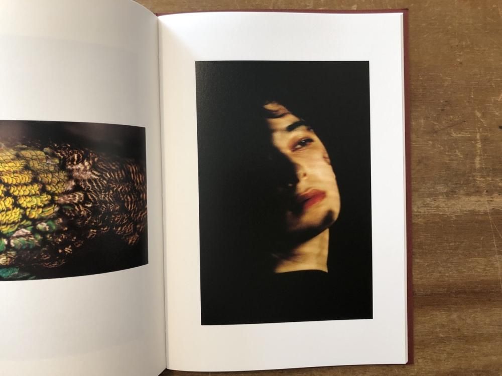 Epiphany / Shinpei Yamagami 山上新平(Signed サイン入