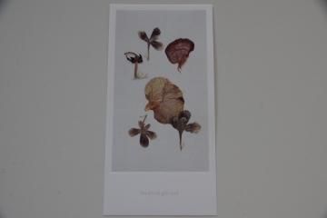 blackbird gift card ȥԡӥ