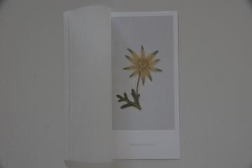 blackbird gift card եͥե