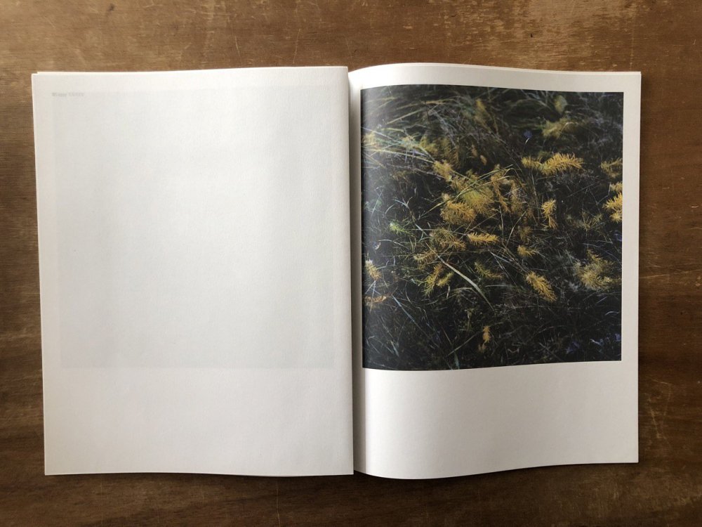 WIESE XXI-XLVIII / Anne Schwalbe アンネ・シュヴァルベ(Signed) - books used and new,  flower works : blackbird books ブラックバードブックス