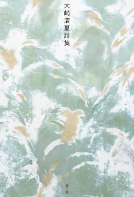 大崎清夏詩集