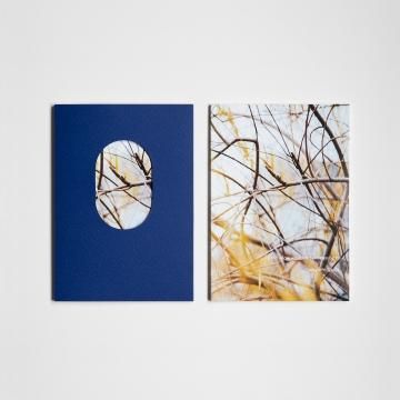  I dont know what has been passing by / Takuya Yamaguchi 