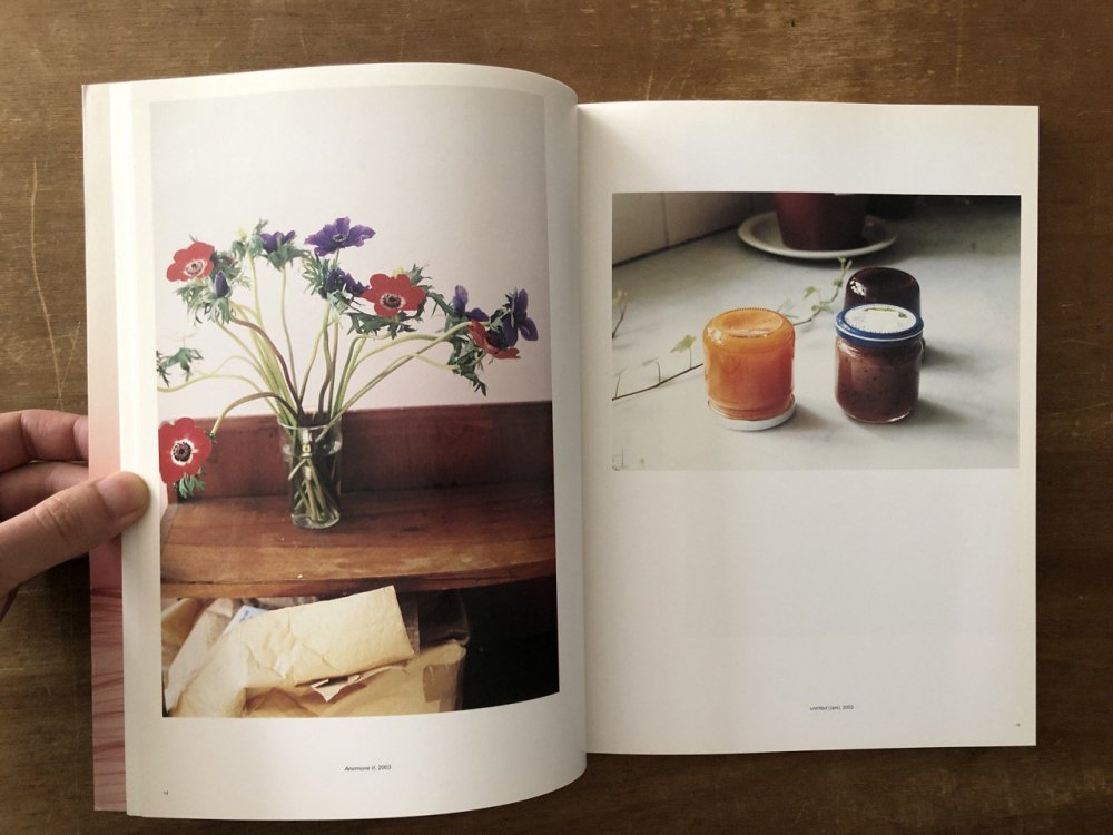 Freischwimmer / Wolfgang Tillmans ヴォルフガング・ティルマンス - books used and new,  flower works : blackbird books ブラックバードブックス