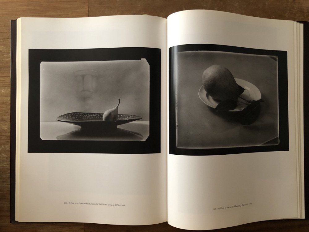 プラハの光　ヨゼフ・スデク写真集　JOSEF SUDEK - books used and new, flower works : blackbird  books ブラックバードブックス