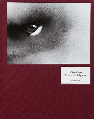 Des oiseaux / Sebastião Salgado セバスチャン・サルガド