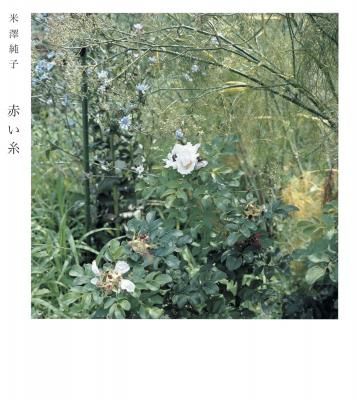 ÀÖ¤¤»å / ÊÆß·½ã»Ò¡¡Junko Yonezawa