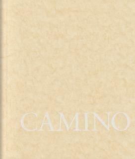 CAMINO / Ryuhei Nakagawa ÃæÀîζʿ