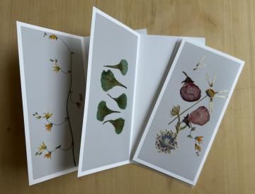 postal flower / margaret