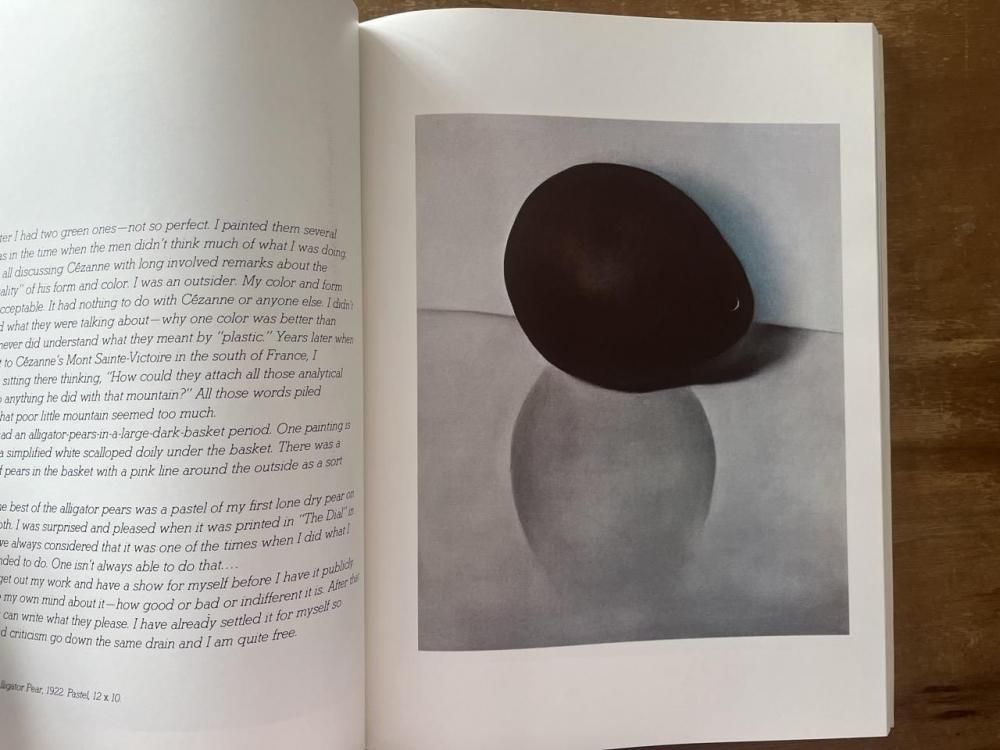 GEORGIA O'KEEFFE ジョージア・オキーフ - books used and new