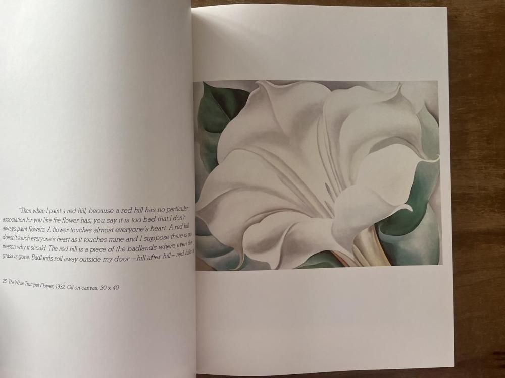 GEORGIA O'KEEFFE ジョージア・オキーフ - books used and new